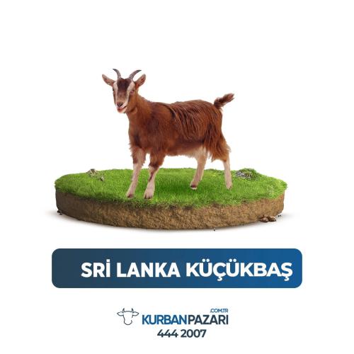 Sri Lanka Kurban