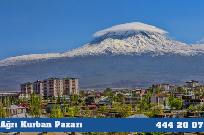 Ağrı