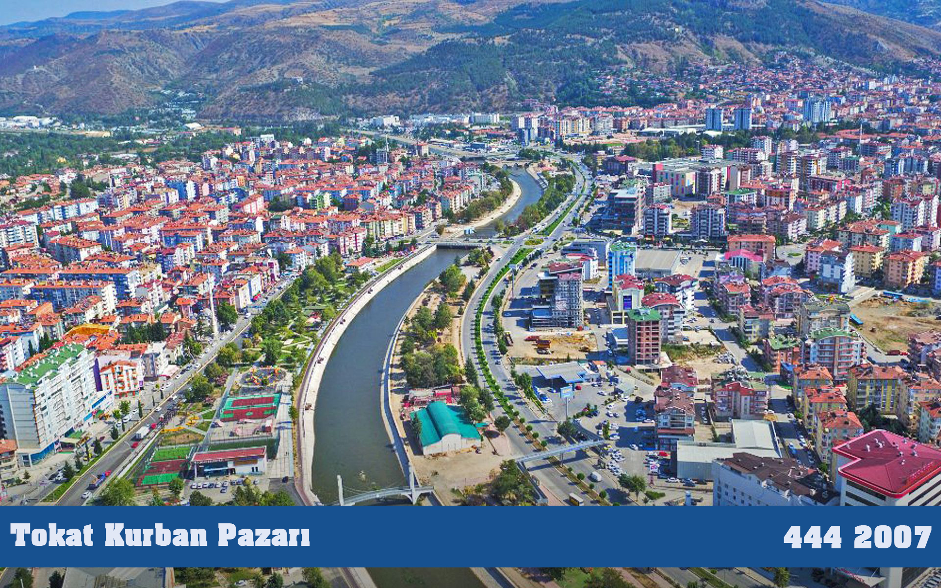 Tokat