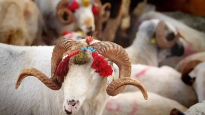 Kurban Bayramı Ne Zaman 2024