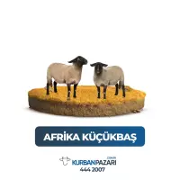 Afrika Koç Kurbanı