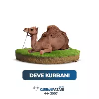Deve Kurbanı
