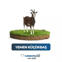 Yemen Kurban