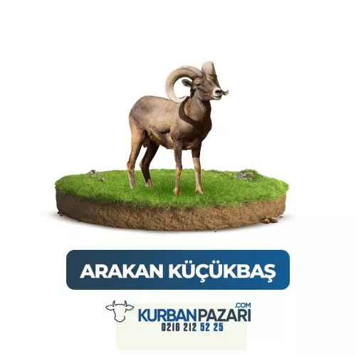 Arakan Kurban