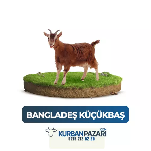 Bangladeş Kurban