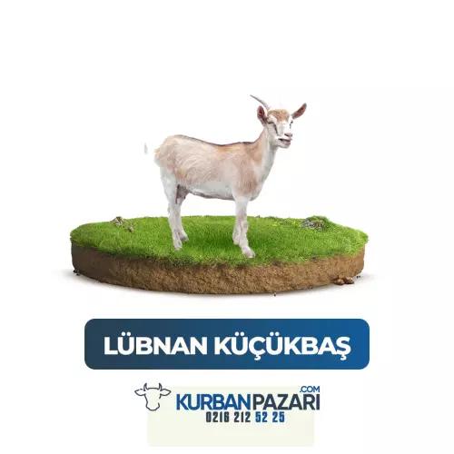 Lübnan Kurban