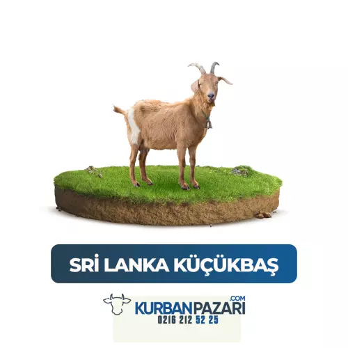 Sri Lanka Kurban