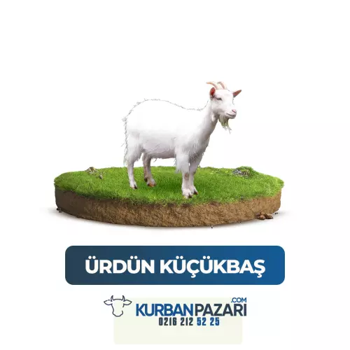 Ürdün Kurban