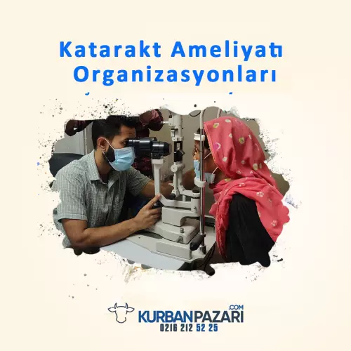 Katarakt Ameliyatı