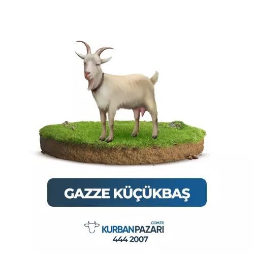 Gazze Kurban
