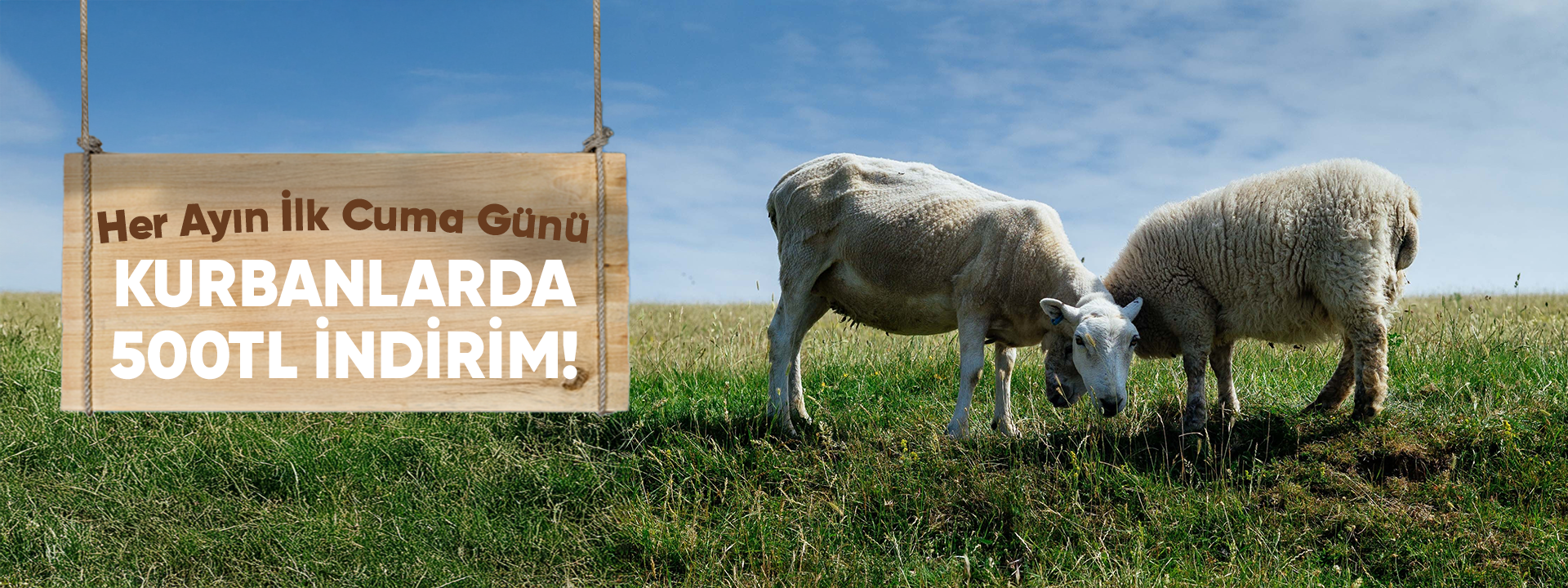 kurbanplatformu