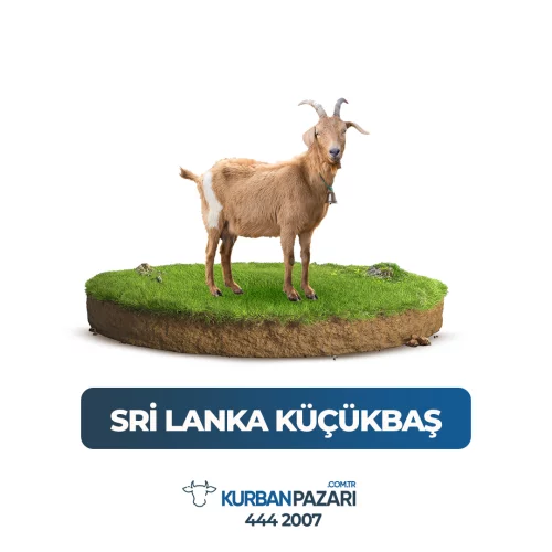 Sri Lanka kurban