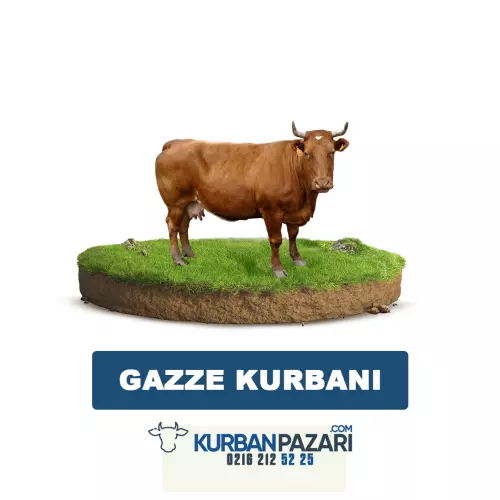 Gazze Kurban Filistin Kampları